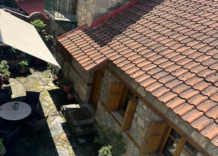 Urban River House