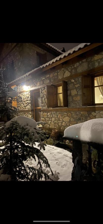 Urban River House Florina