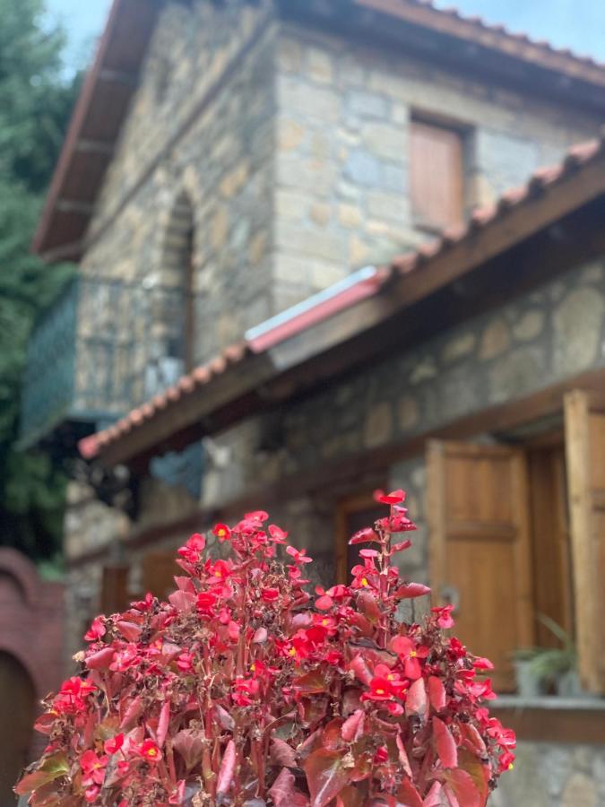 Urban River House Villa Florina