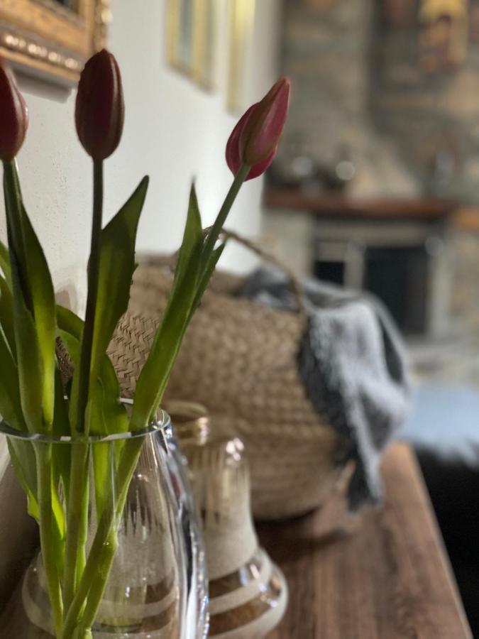 Villa Urban River House Florina