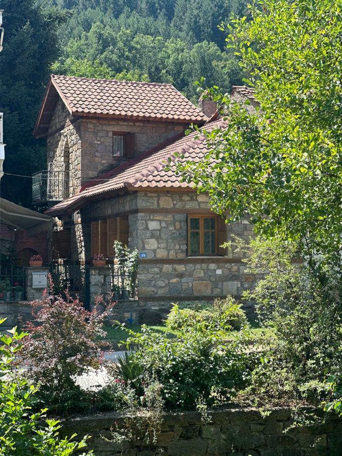 Urban River House Florina