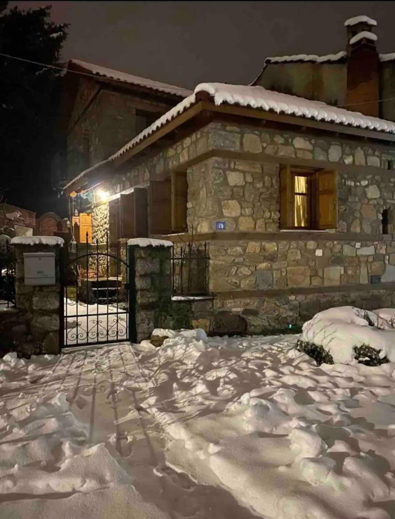 Villa Urban River House Florina