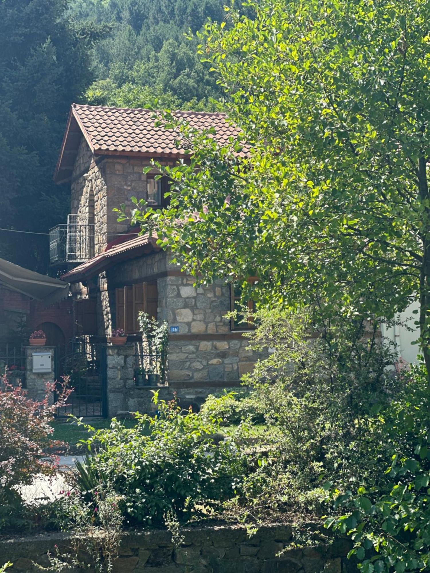 Urban River House *