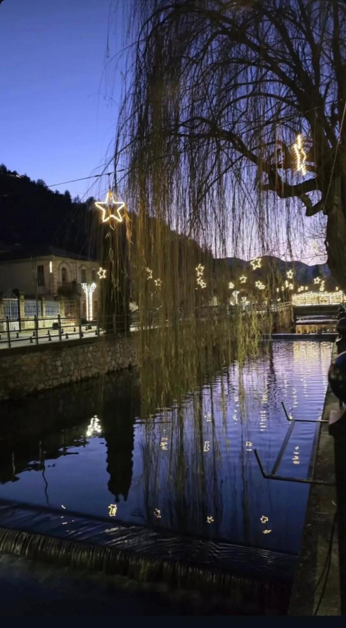 Urban River House
