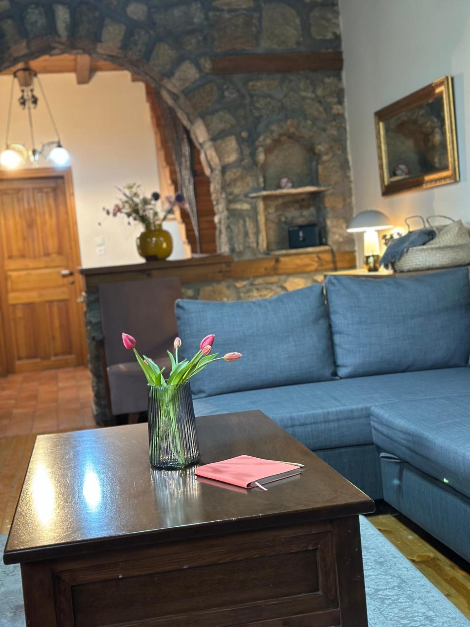 Urban River House * Florina