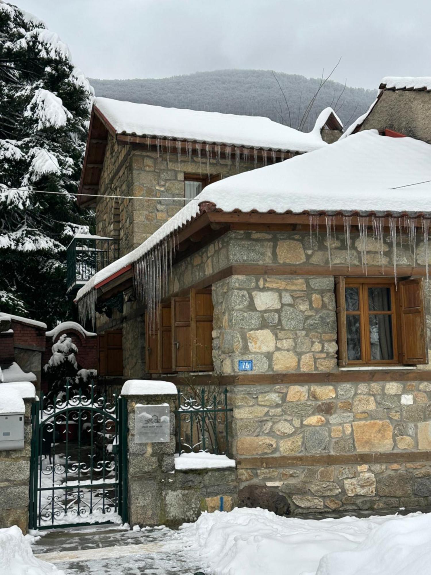 Urban River House Villa